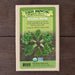 High Mowing Organic Seeds Kitchen Herbs packet. Fresh parsley, thyme, basil, dill, cilantro for your garden. USDA Organic.
