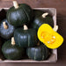 Dark green Kabocha winter squash in a wooden crate, one sliced revealing vibrant yellow flesh and seeds. Fresh harvest.