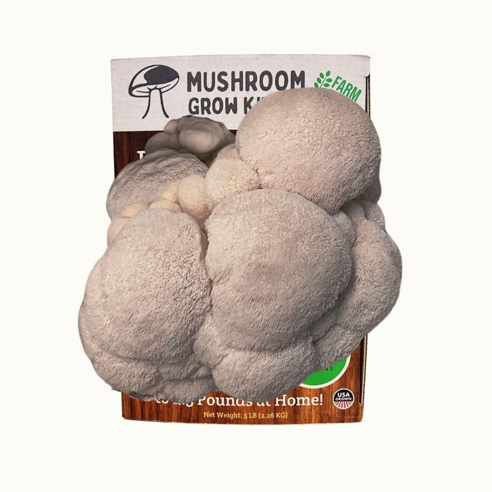 Premium Lion's Mane Mushroom Growing Kit - 5 LBS