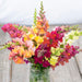 Fresh snapdragon bouquet: vibrant pink, yellow, orange, red, white blooms in a mason jar.