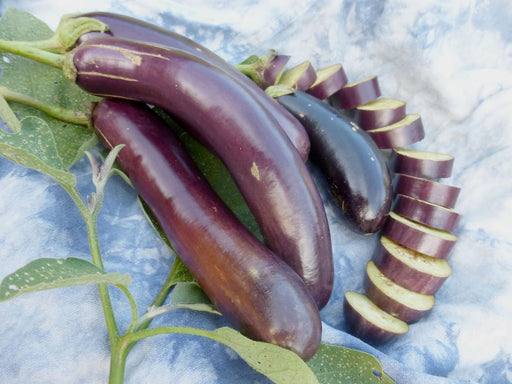 Long purple Asian eggplants, whole and sliced, with fresh green leaves on a blue patterned cloth.