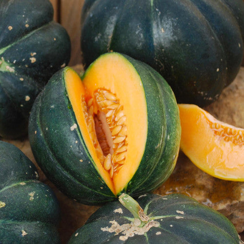 Dark green acorn squash, one cut open revealing bright orange flesh and seeds. Fresh winter produce.