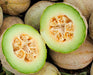 Fresh cantaloupe halves, cut open showing orange flesh and seeds, surrounded by whole ripe muskmelons. Healthy fruit.