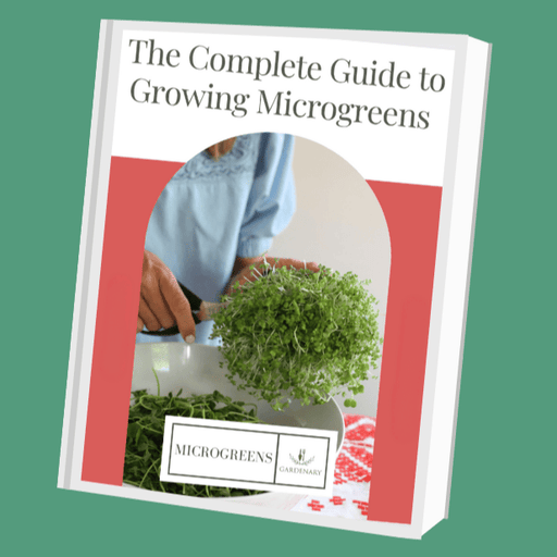 "The Complete Guide to Growing Microgreens" ebook cover. Hands harvesting fresh microgreens into a white bowl. Gardenary.