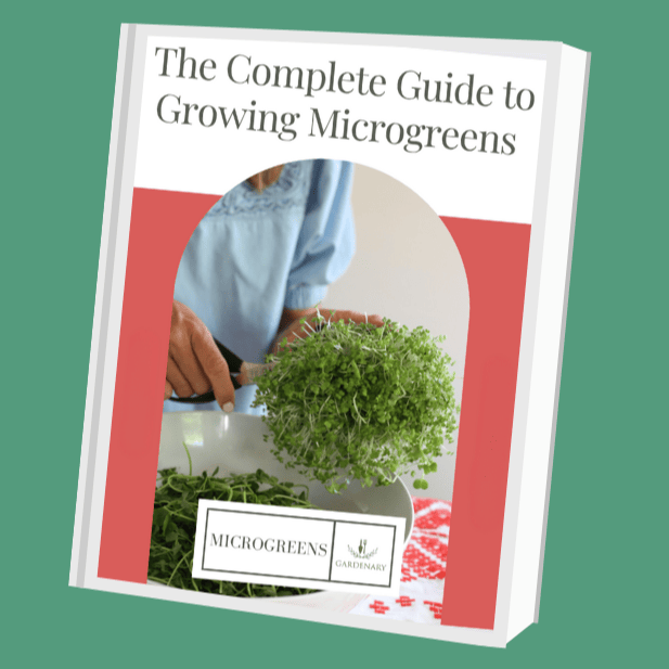 "The Complete Guide to Growing Microgreens" ebook cover. Hands harvesting fresh microgreens into a white bowl. Gardenary.
