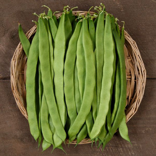 Fresh green flat beans (Romano beans) in a wicker basket. Healthy garden vegetables.