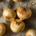 Fresh yellow onions with golden skins on a rustic fabric. Versatile produce for cooking and recipes.