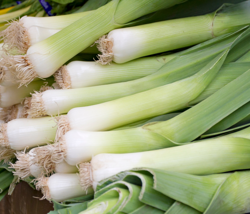 Fresh leeks, vibrant green leaves and white bases, healthy vegetable produce.