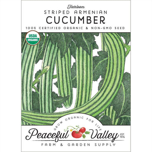 Heirloom Striped Armenian Cucumber organic non-GMO seeds. Illustration of green striped cucumbers on a vine with leaves.