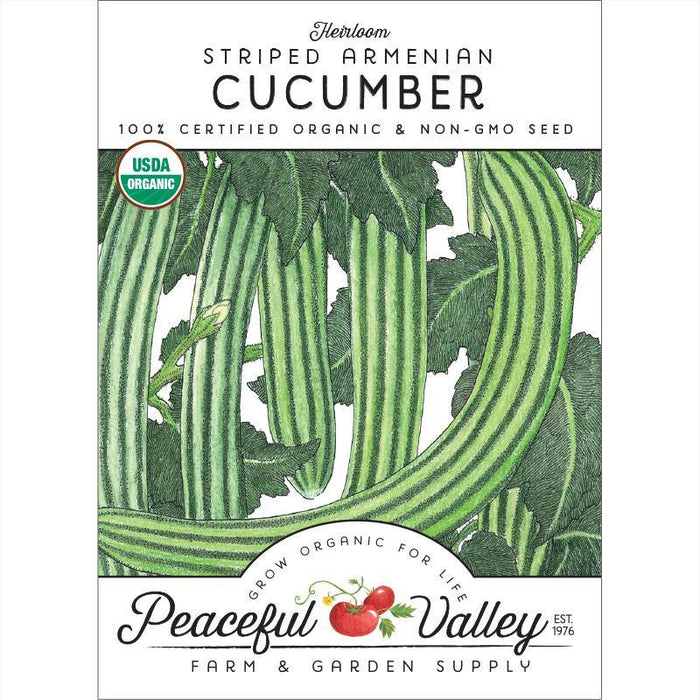 Heirloom Striped Armenian Cucumber organic non-GMO seeds. Illustration of green striped cucumbers on a vine with leaves.
