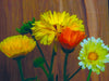 Bright yellow, orange, & pale calendula flowers with green buds. Colorful garden blooms on a warm wood background.