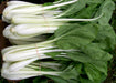 Bundles of fresh bok choy with crisp white stems and vibrant green leaves, healthy Asian vegetable produce.