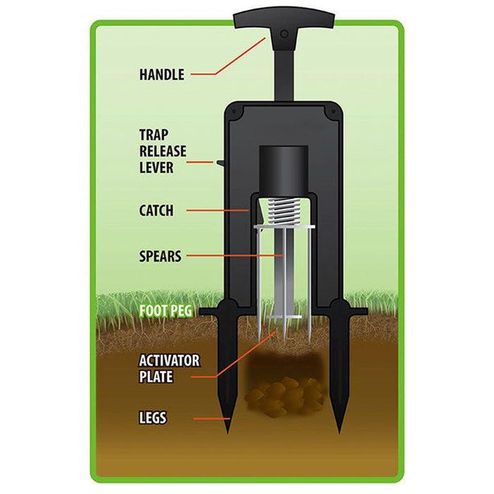Cutaway diagram of a mole spear trap in soil with labeled parts: handle, spears, activator plate, and release lever for pest control.