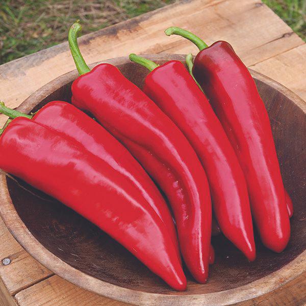 Five vibrant red sweet peppers, long and glossy, with green stems in a rustic wooden bowl. Fresh garden harvest.