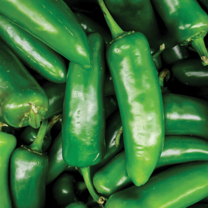Close-up of vibrant green jalapeno chili peppers, fresh produce.