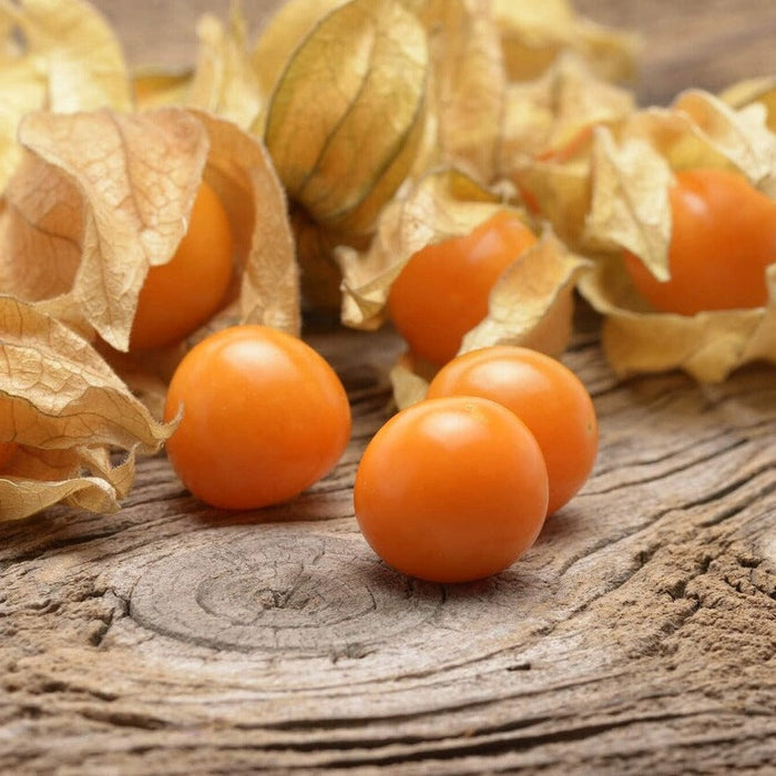 Ripe orange goldenberries (physalis) with papery husks on a rustic wooden surface. Fresh fruit produce.