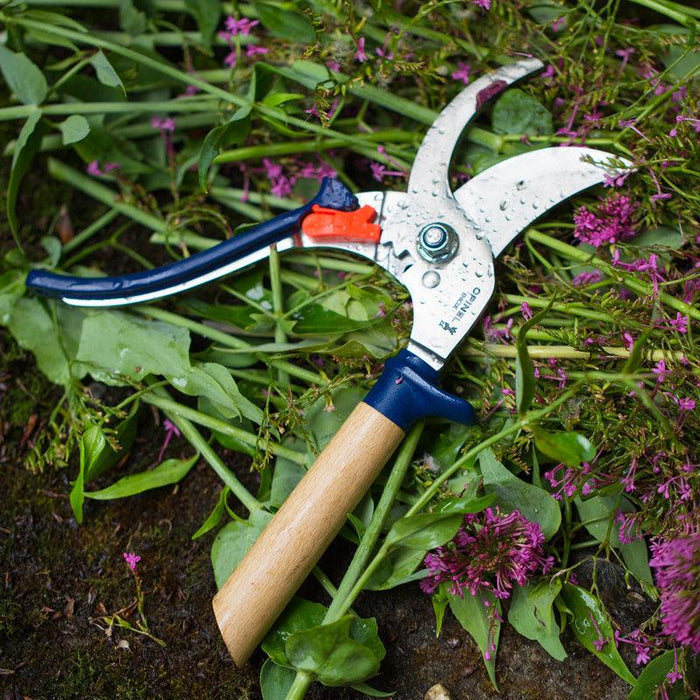 Opinel Hand Pruners Blue