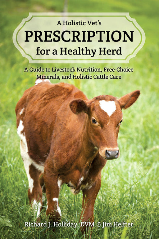 Brown and white calf in grass. 'Holistic Vet's Prescription for a Healthy Herd' guide to livestock nutrition, cattle care.