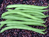 Vibrant green beans over dried kidney beans. Healthy garden fresh legumes.