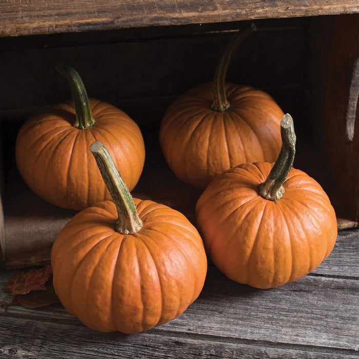 Four small orange pumpkins with green stems on rustic wooden planks and inside a crate. Fall harvest decor.
