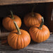Four small orange pumpkins with green stems on rustic wooden planks and inside a crate. Fall harvest decor.
