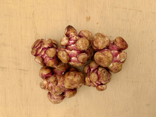 Knobby Jerusalem artichokes with reddish-purple skin on a light wood surface. Fresh sunchoke tubers, root vegetable.