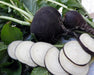 Fresh black radishes, whole and sliced, with green leaves. Healthy garden root vegetables for cooking or salad.