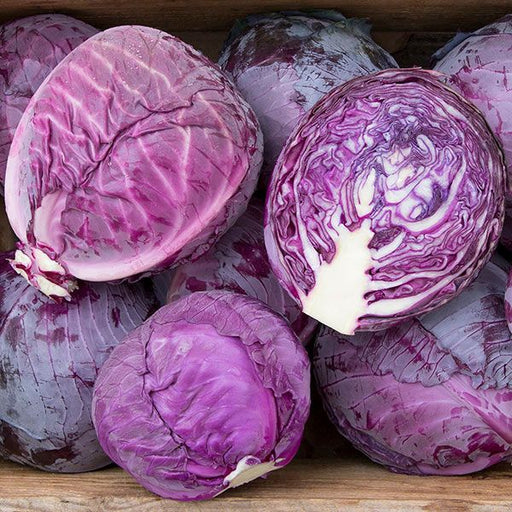 Fresh red cabbage heads, one sliced open revealing vibrant purple and white layers. Organic, healthy vegetables.