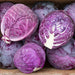 Fresh red cabbage heads, one sliced open revealing vibrant purple and white layers. Organic, healthy vegetables.