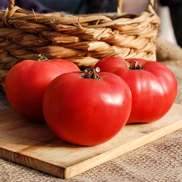 Three plump, ripe red tomatoes on a wooden cutting board. Fresh garden harvest, rustic basket background.