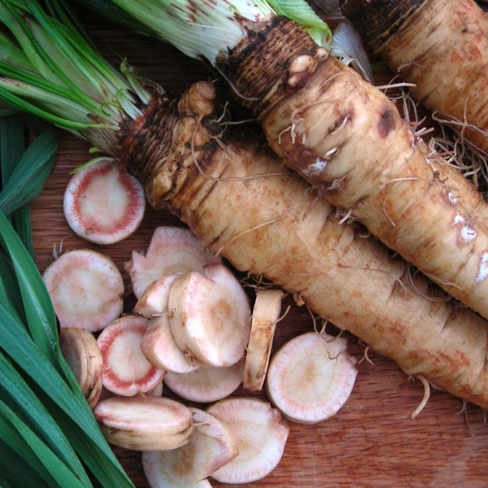 Fresh horseradish roots, green leaves, and sliced pieces displaying white and pink interiors on a wooden surface.