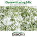 GreenCover Overwintering Mix multi-species cover crop seed: green sprouts thriving in winter snow.