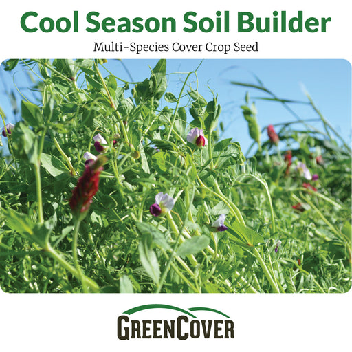 GreenCover Cool Season Soil Builder: Vibrant multi-species cover crop with flowering peas and red clover for healthy soil.
