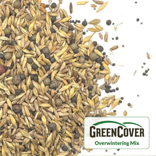 GreenCover Overwintering Mix seeds: diverse cereal grains, peas, & brassicas for healthy soil cover.