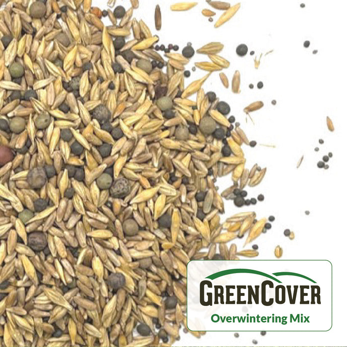 GreenCover Overwintering Mix seeds: diverse cereal grains, peas, & brassicas for healthy soil cover.
