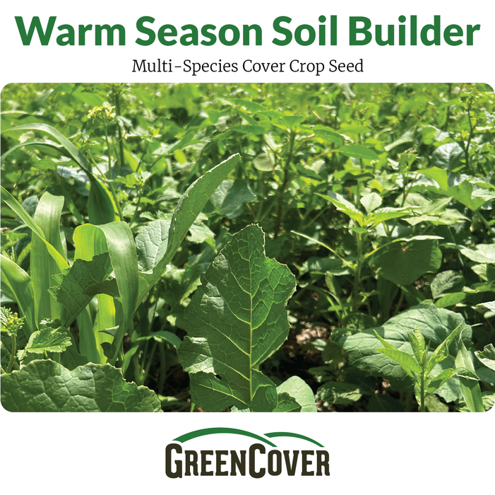 Warm season multi-species cover crop field with diverse green plants: corn, radish, and broadleaf for soil building.