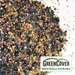 GreenCover Warm Season Soil Builder seed mix: sunflower, diverse legumes, millet, sorghum for healthy soil.
