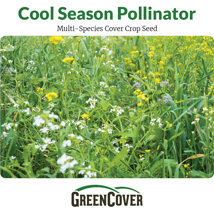 Vibrant cool season pollinator cover crop mix: white radish, yellow mustard, purple phacelia flowers, and green grasses.