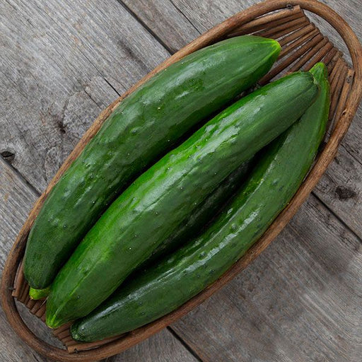 Fresh green cucumbers in a brown woven basket on a rustic wooden table.