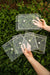 Hands hold Mindful Farmer clear acrylic seed spacing templates (2.8mm-6mm holes) over vibrant green garden plants.