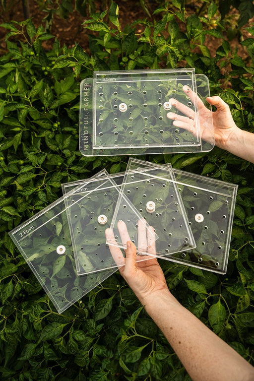 Hands hold Mindful Farmer clear acrylic seed spacing templates (2.8mm-6mm holes) over vibrant green garden plants.