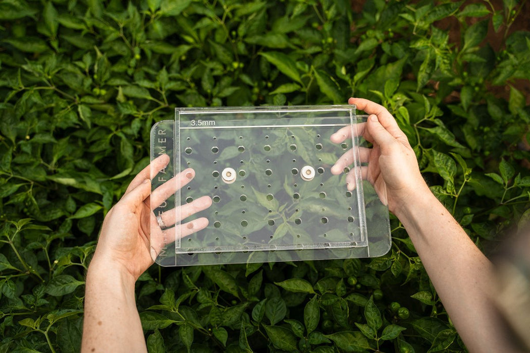 Hands hold Mr. Farmer 3.5mm clear seed spacing tool over green plants. Ideal for precision gardening & planting.