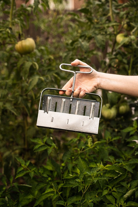 Hand holding a multi-row seed sower in a lush vegetable garden with green tomatoes.