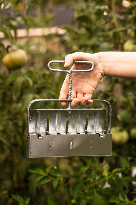 Gardener's hand holding a shiny metal multi-seed planter tool in a vibrant garden with green tomatoes. Efficient planting.