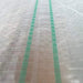 Translucent woven fabric with grid texture and two green vertical stripes. Durable greenhouse film, tarp, or weed barrier.