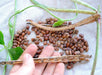 Hand shelling dried pinto beans from a pod, revealing speckled brown legumes. Pile of harvested beans & green pods on cloth.