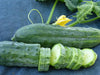 Fresh garden cucumbers: one whole with a yellow flower and vine, one partially sliced. Healthy green produce.