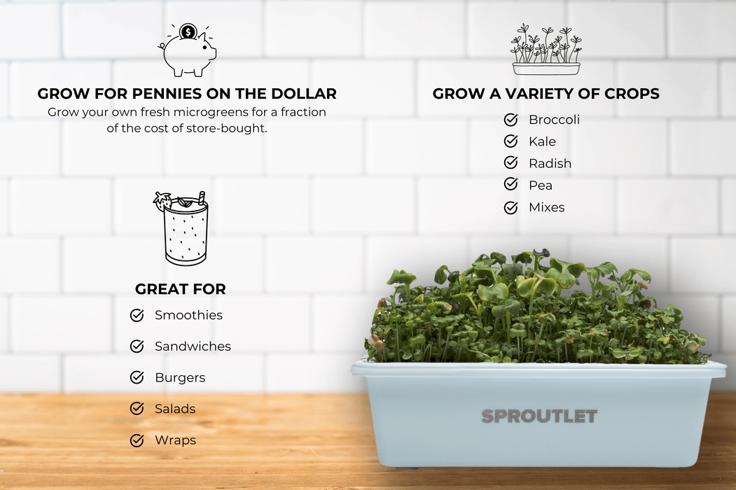 Sproutlet Indoor Microgreen Grow Kit: 3-Pack