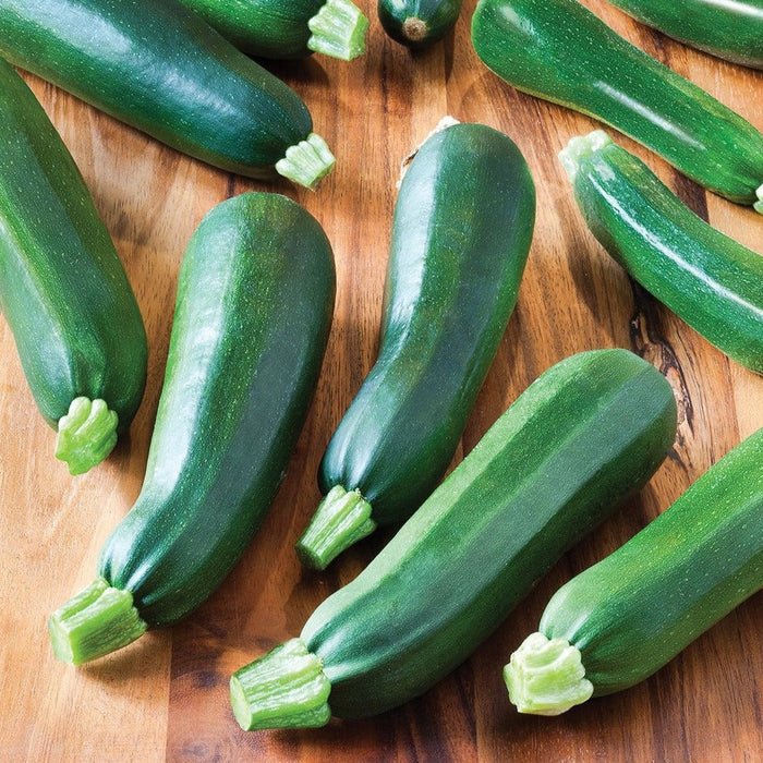 Fresh green zucchini on a rustic wooden table. Healthy, organic summer squash harvest.