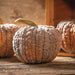 Bumpy, ribbed heirloom pumpkin, grey-orange, on rustic wood. Fall harvest decor.
